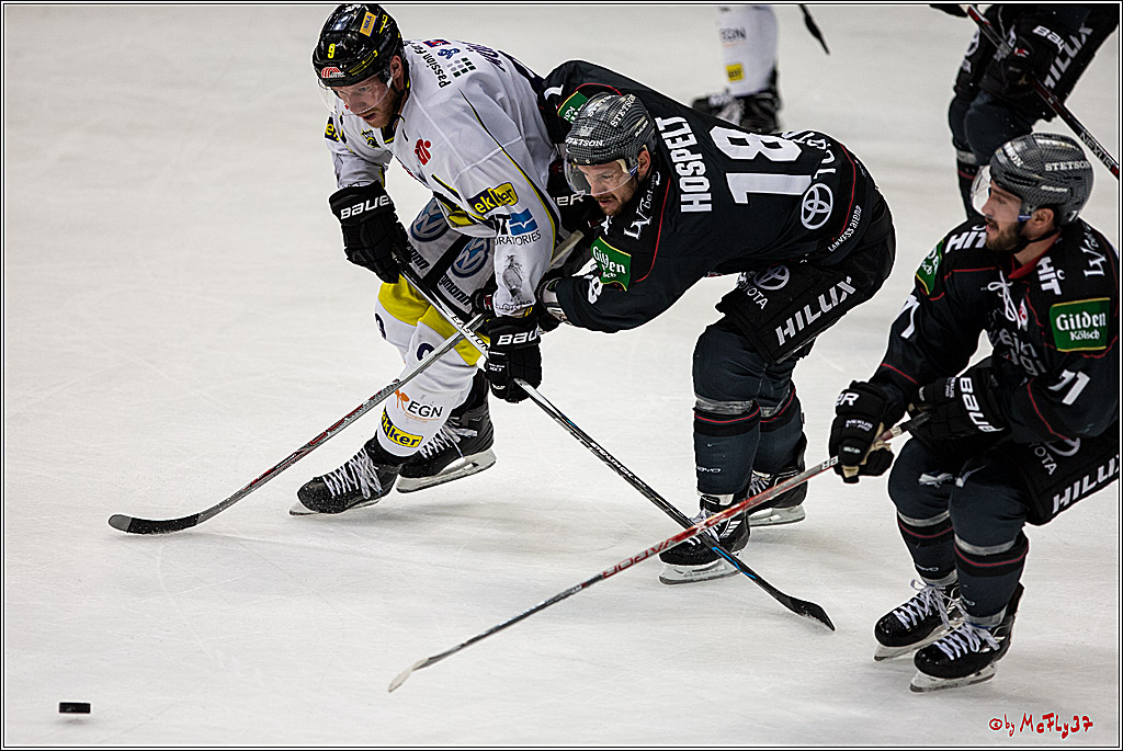 Koelner Haie - Krefeld Pinguine , 23.09.16(KW38)